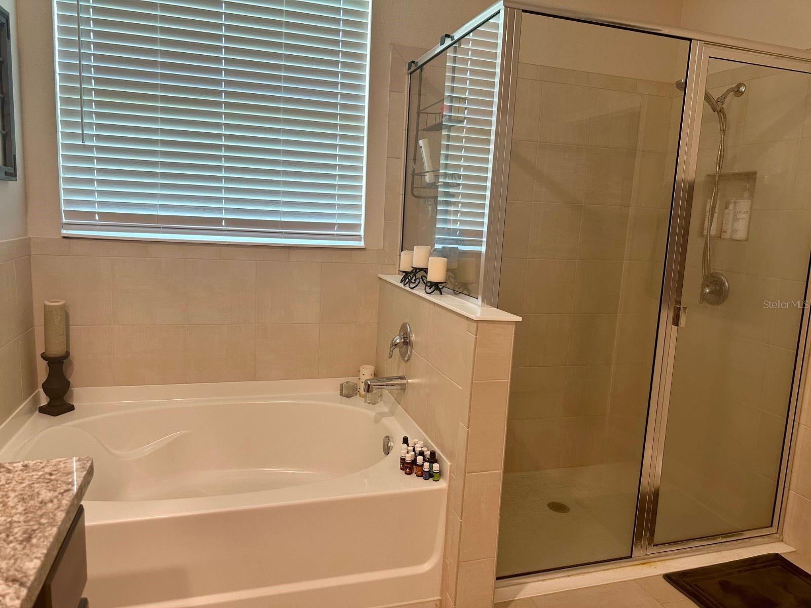 Image 16 of 41 For 10931 Fallon Haze Cir