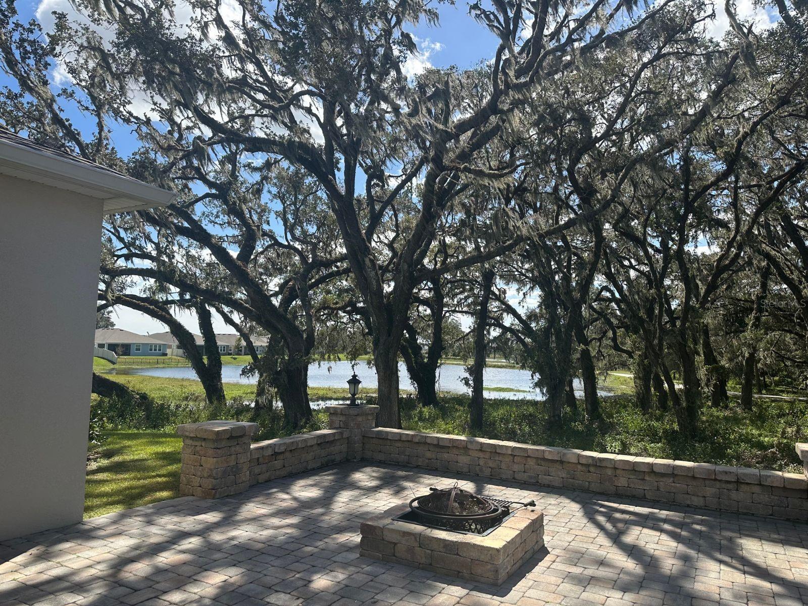 Image 26 of 41 For 10931 Fallon Haze Cir