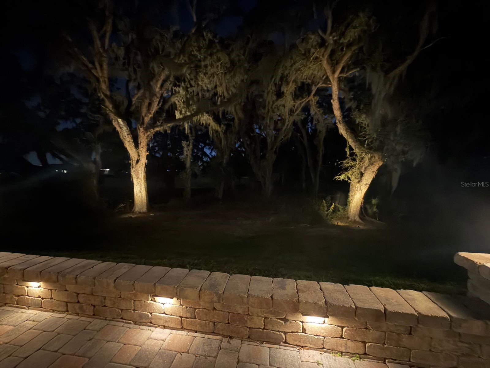 Image 28 of 41 For 10931 Fallon Haze Cir