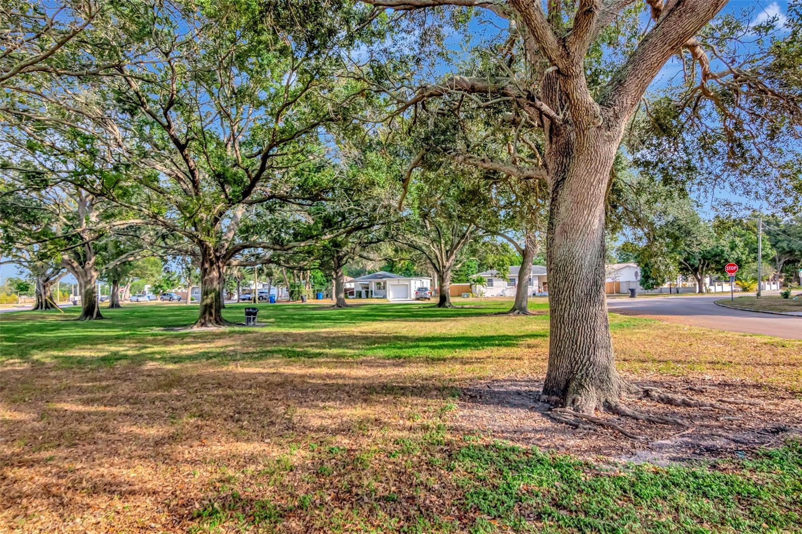 Image 36 of 36 For 1230 32nd Street N