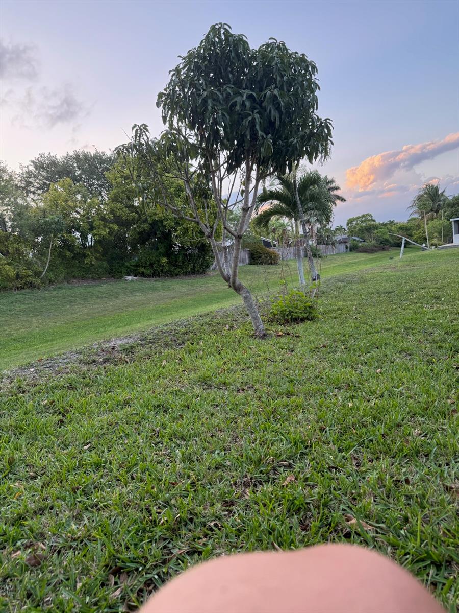 Image 29 of 29 For 5221 96th Avenue