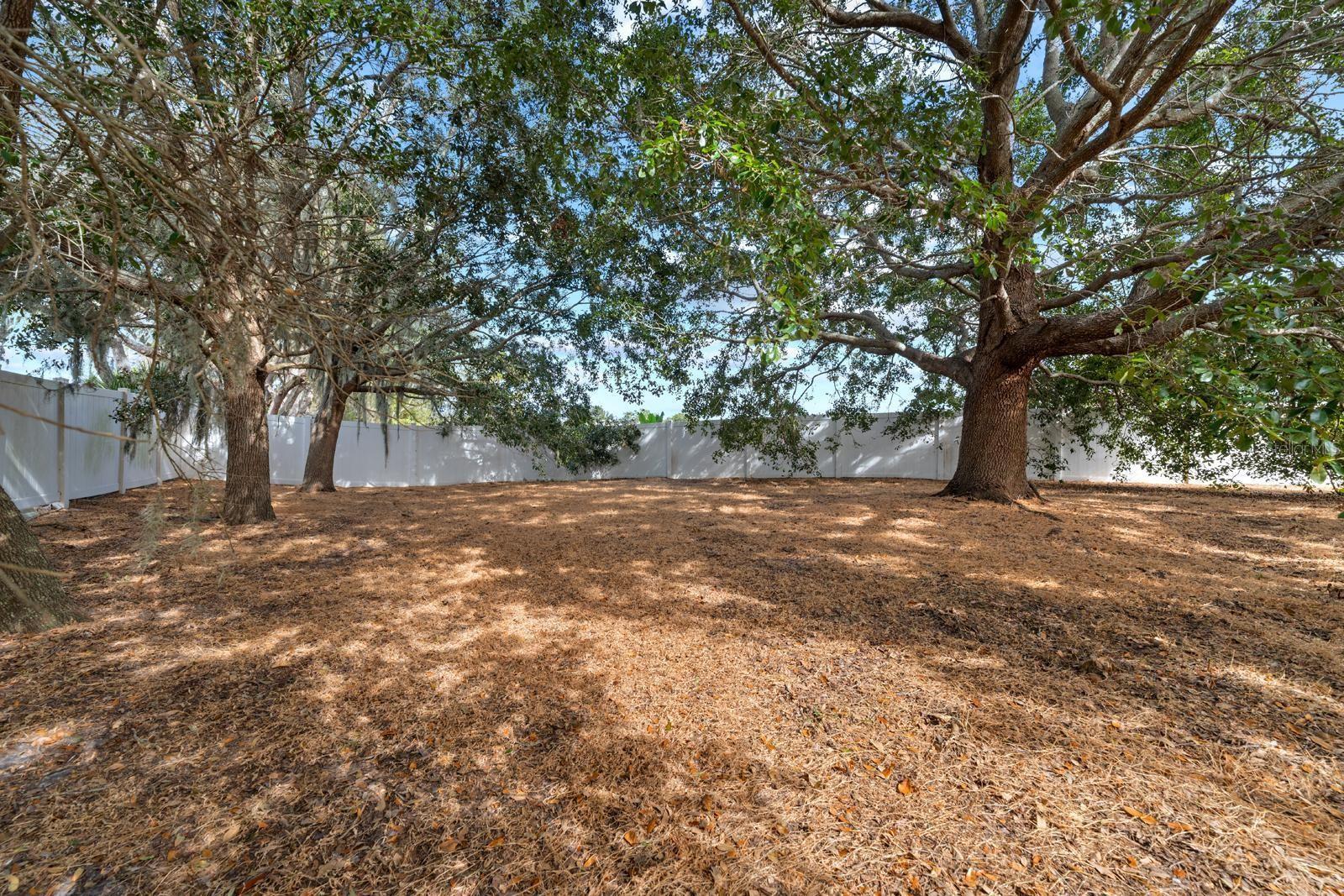 Image 27 of 32 For 11112 Goldenrod Fern Drive