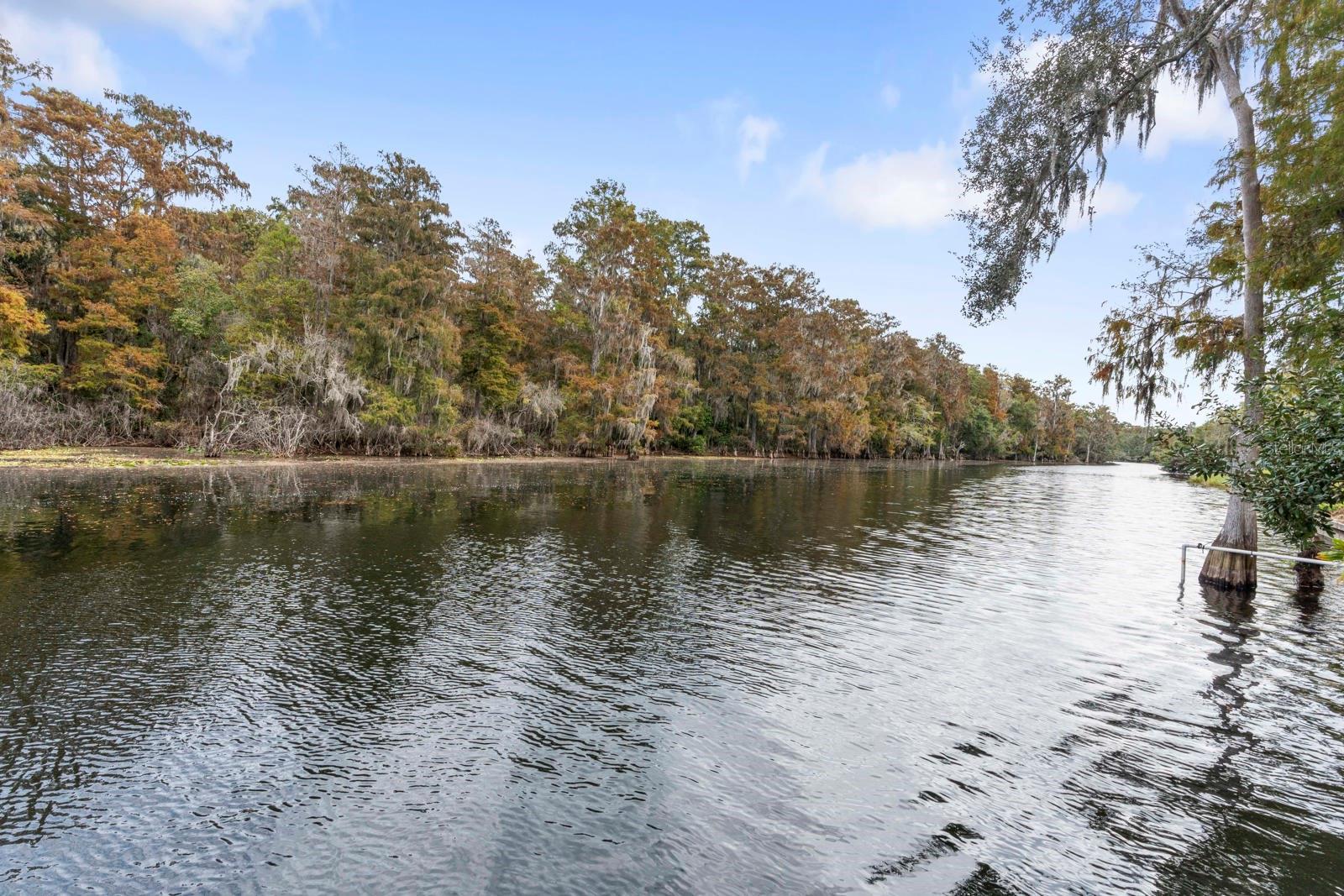 Image 7 of 67 For 617 Riverhills Drive