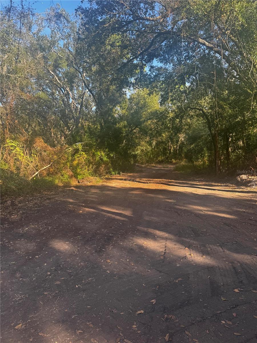 Image 2 of 5 For 11-20 Anno