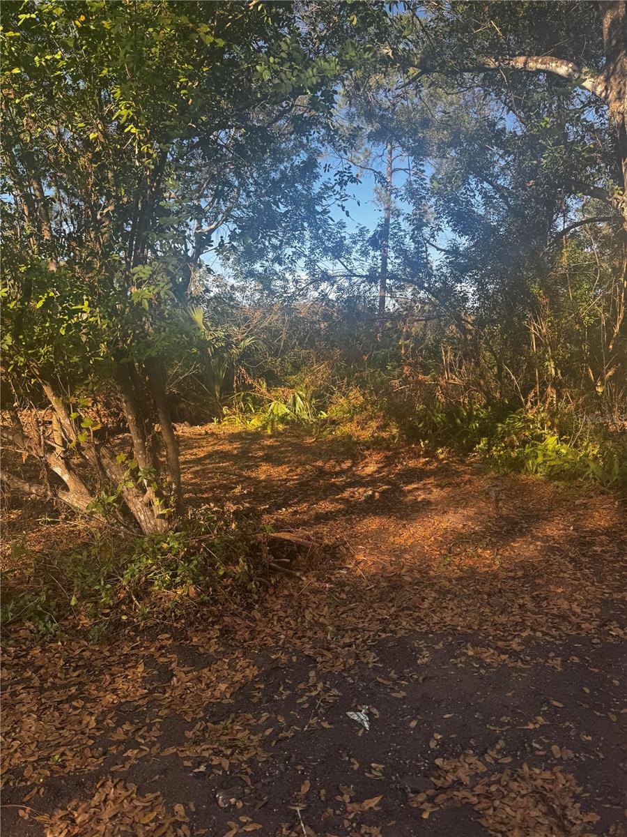 Image 3 of 5 For 11-20 Anno