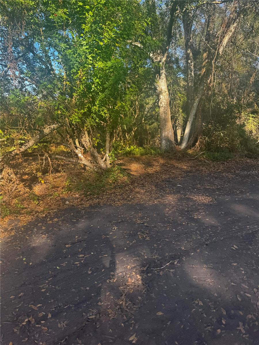 Image 4 of 5 For 11-20 Anno