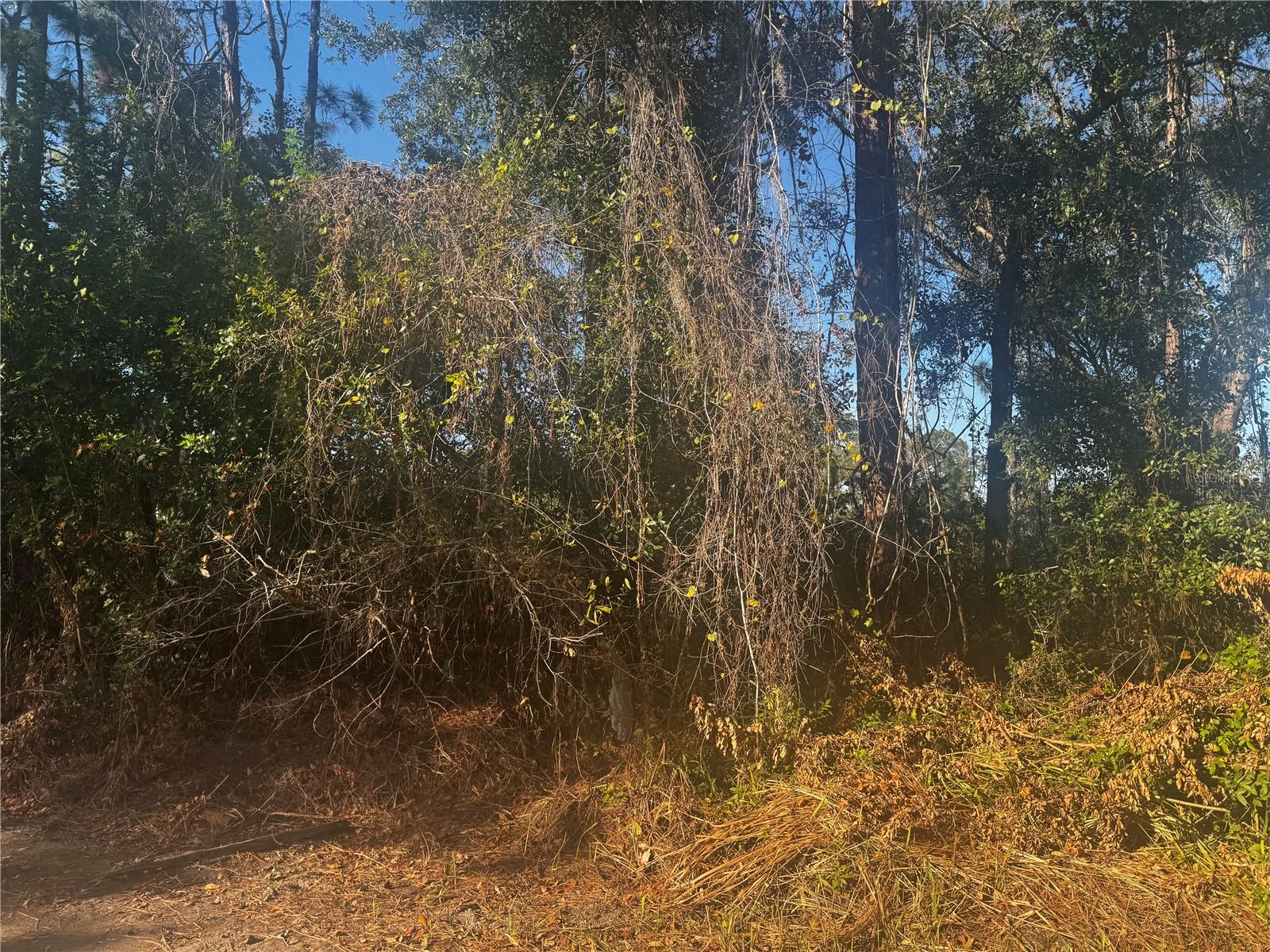 Image 5 of 5 For 11-20 Anno