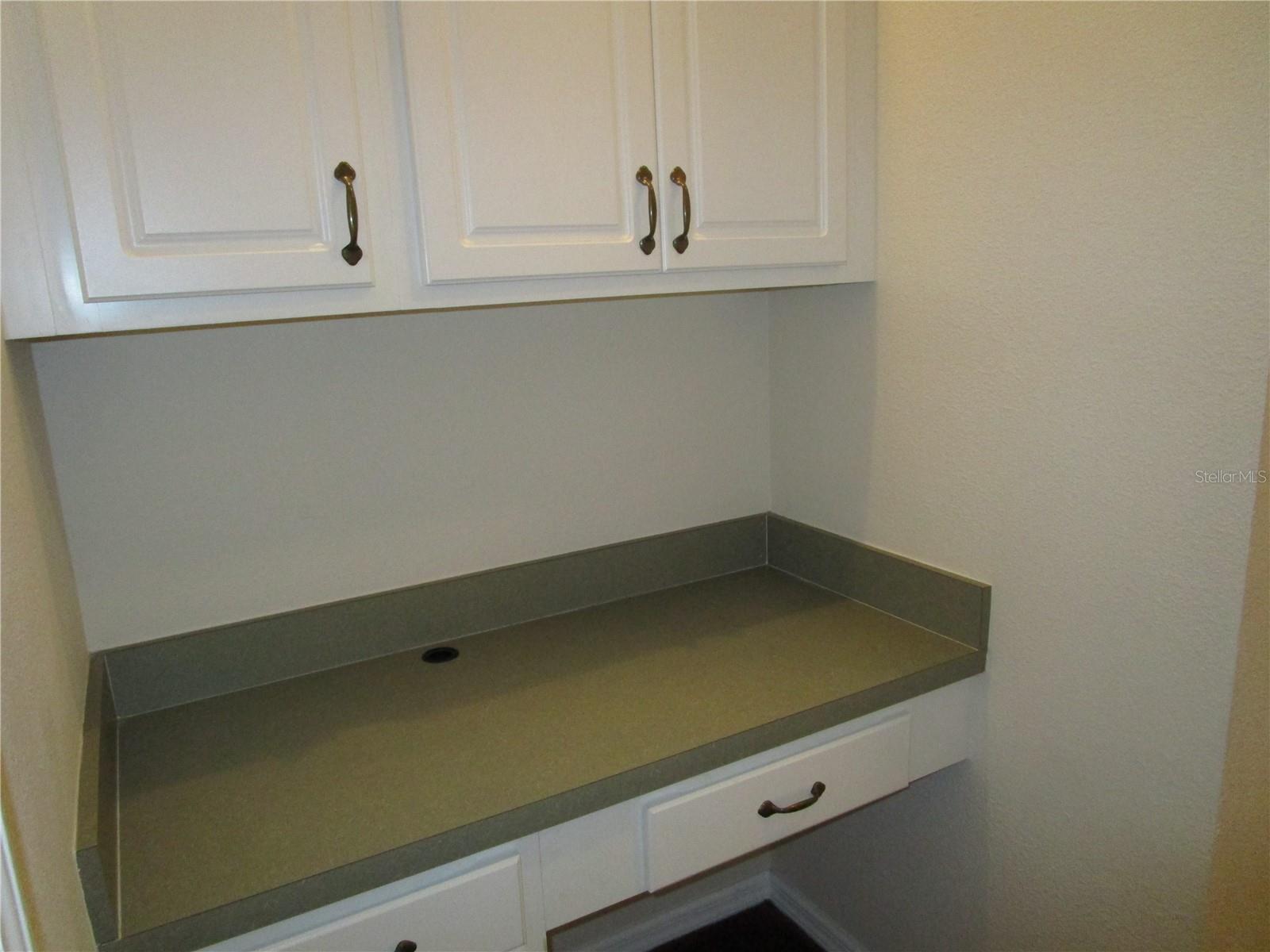 Image 5 of 69 For 15843 Fishhawk View Drive