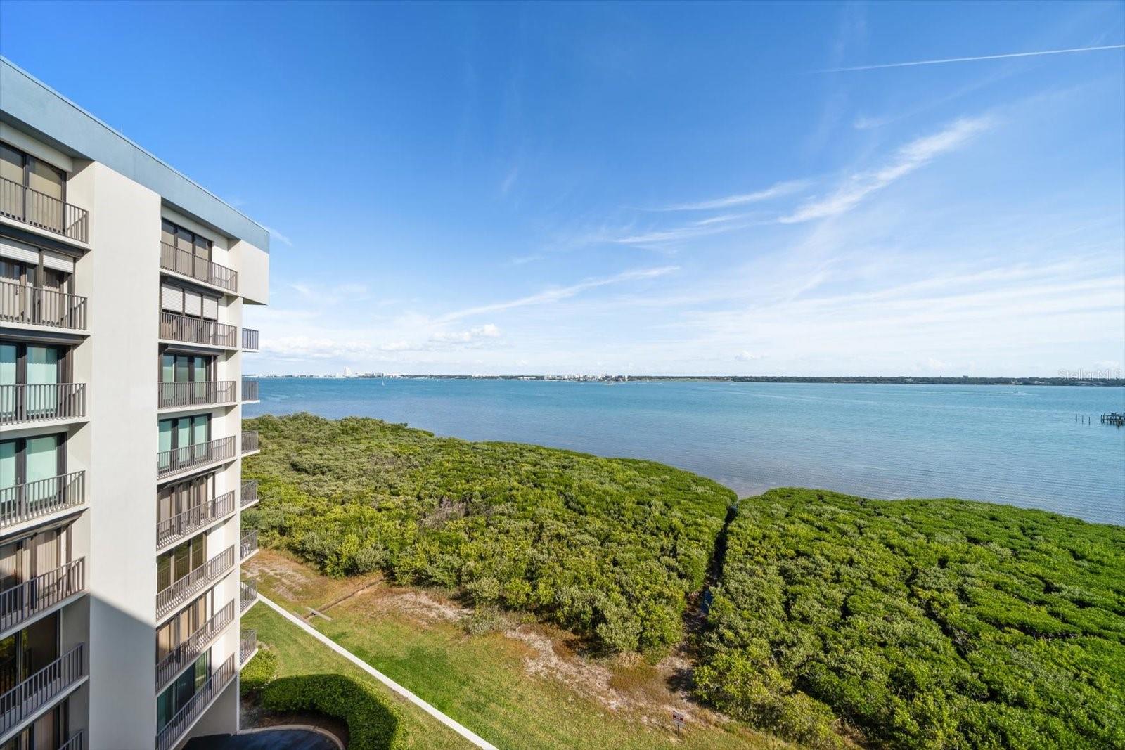 Image 5 of 27 For 1501 Gulf Boulevard 604