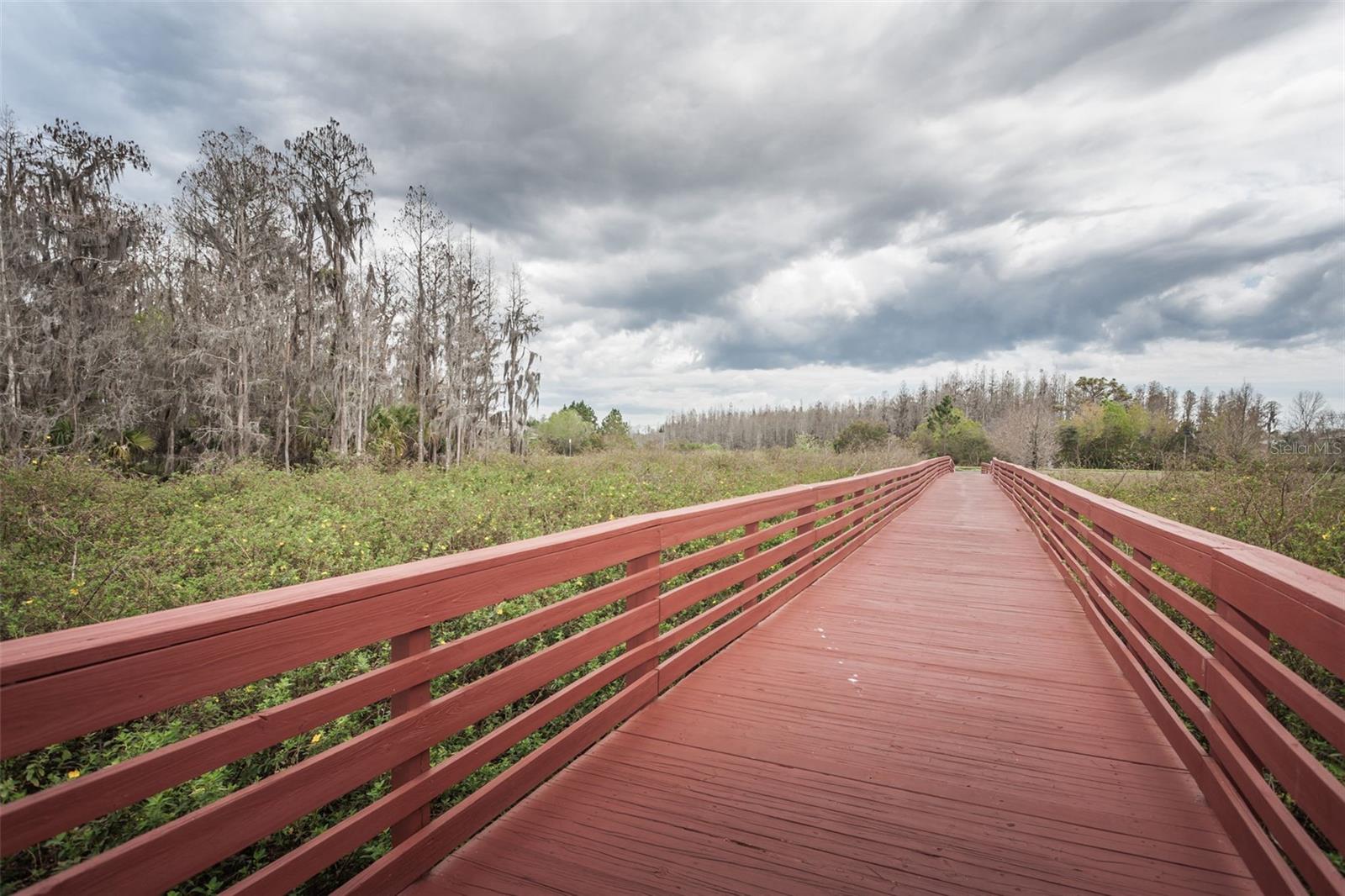 Listing photo id 90 for 10125 Palladio Drive