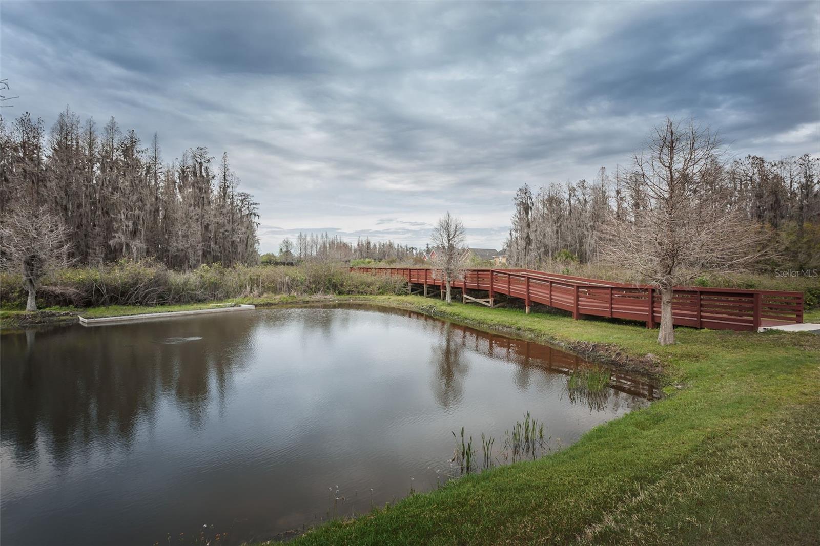 Listing photo id 91 for 10125 Palladio Drive