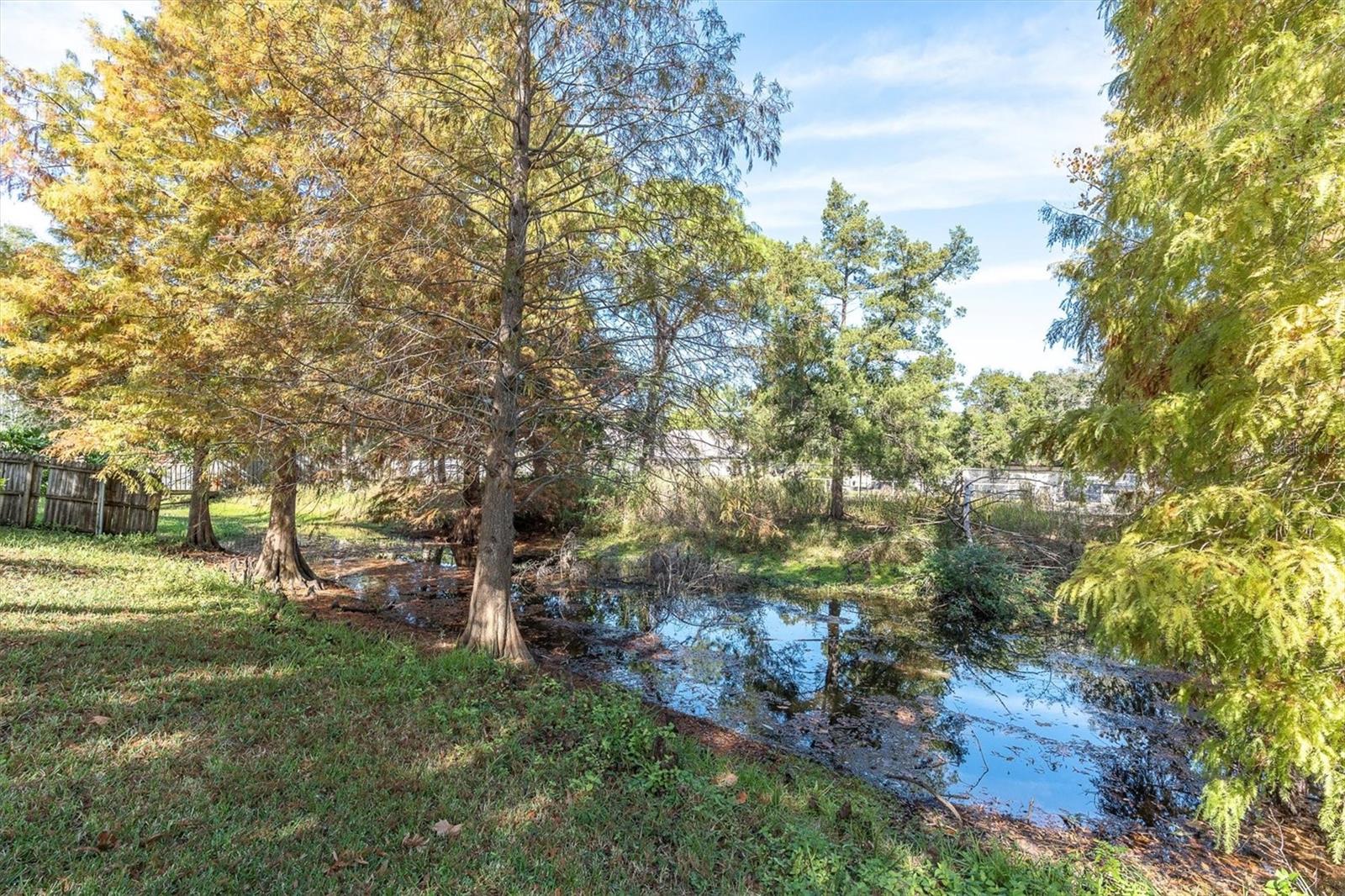 Image 36 of 42 For 6041 65th Avenue N