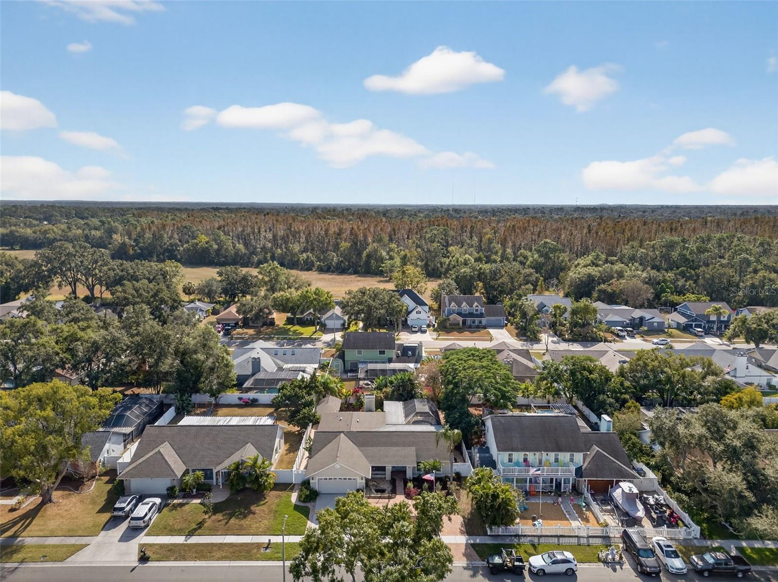 Image 48 of 49 For 1609 Shady Leaf Drive