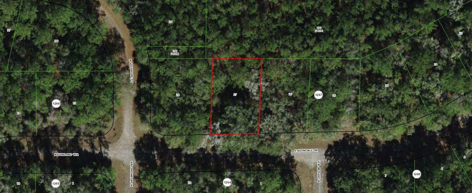 Details for 373 Avondale Drive, DUNNELLON, FL 34434