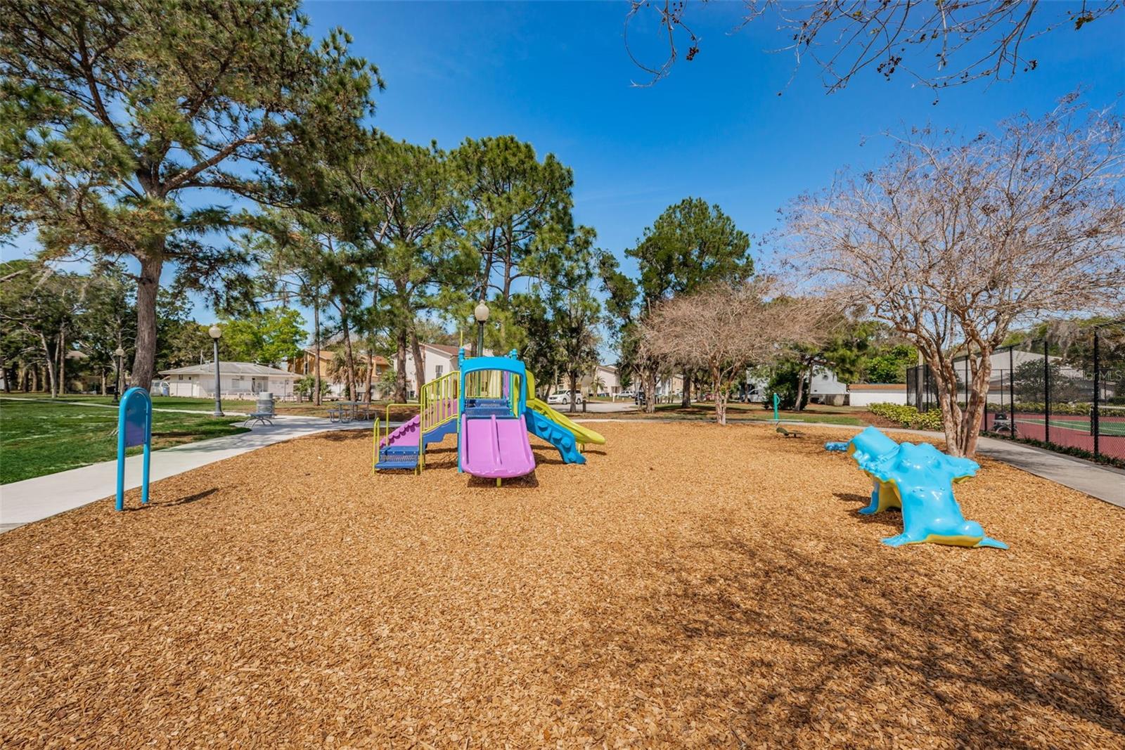 Image 60 of 67 For 2017 Santiago Way S