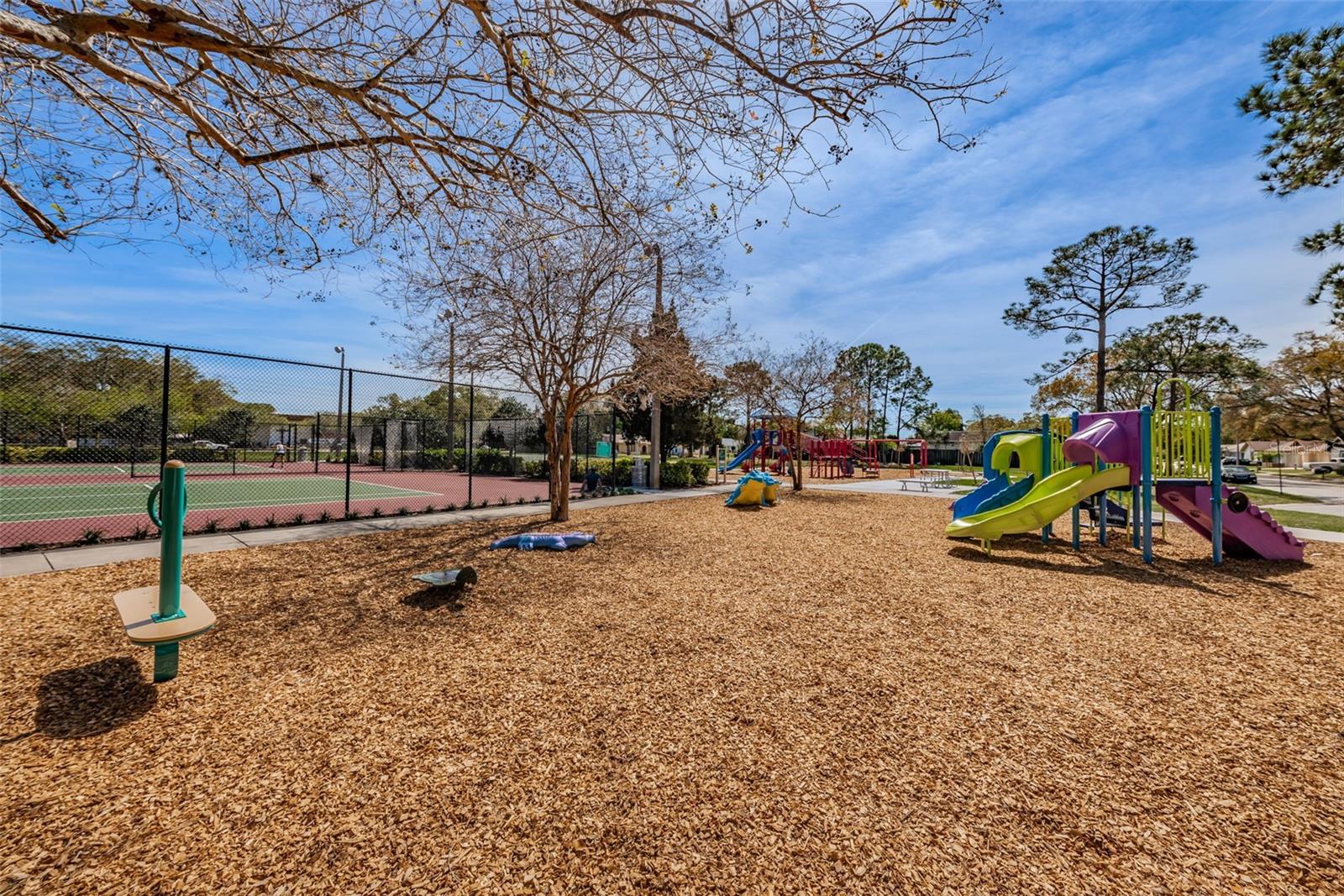 Image 61 of 67 For 2017 Santiago Way S