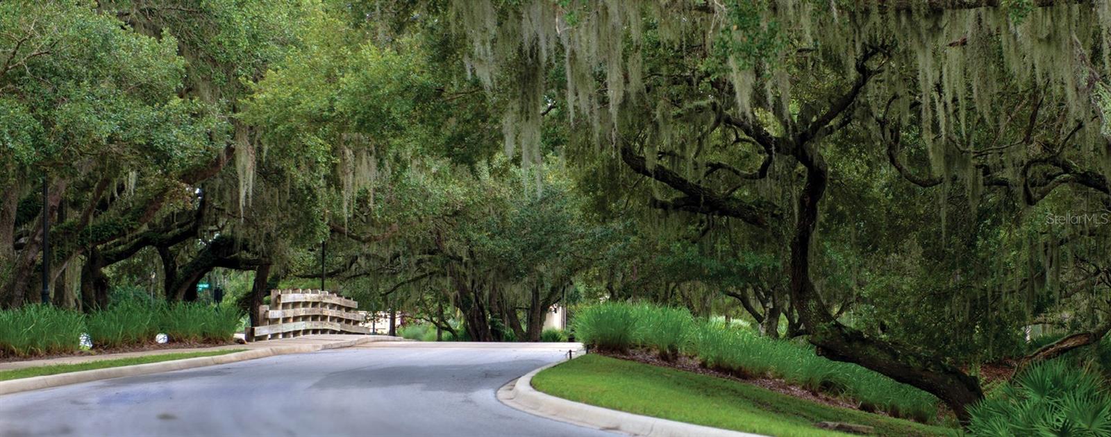 Image 8 of 11 For 20903 Parkstone Terrace