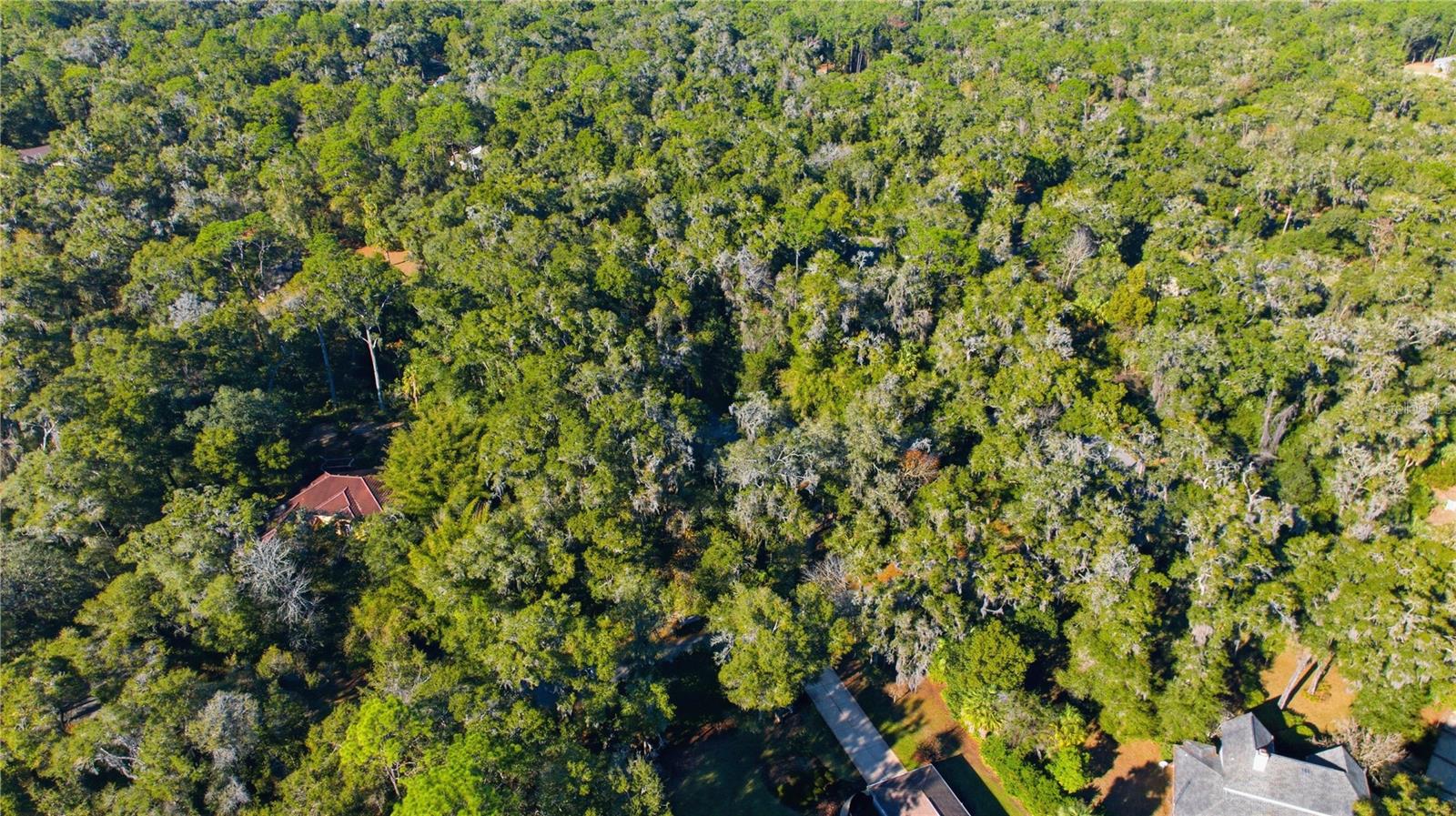 Image 36 of 48 For 7999 187th Avenue