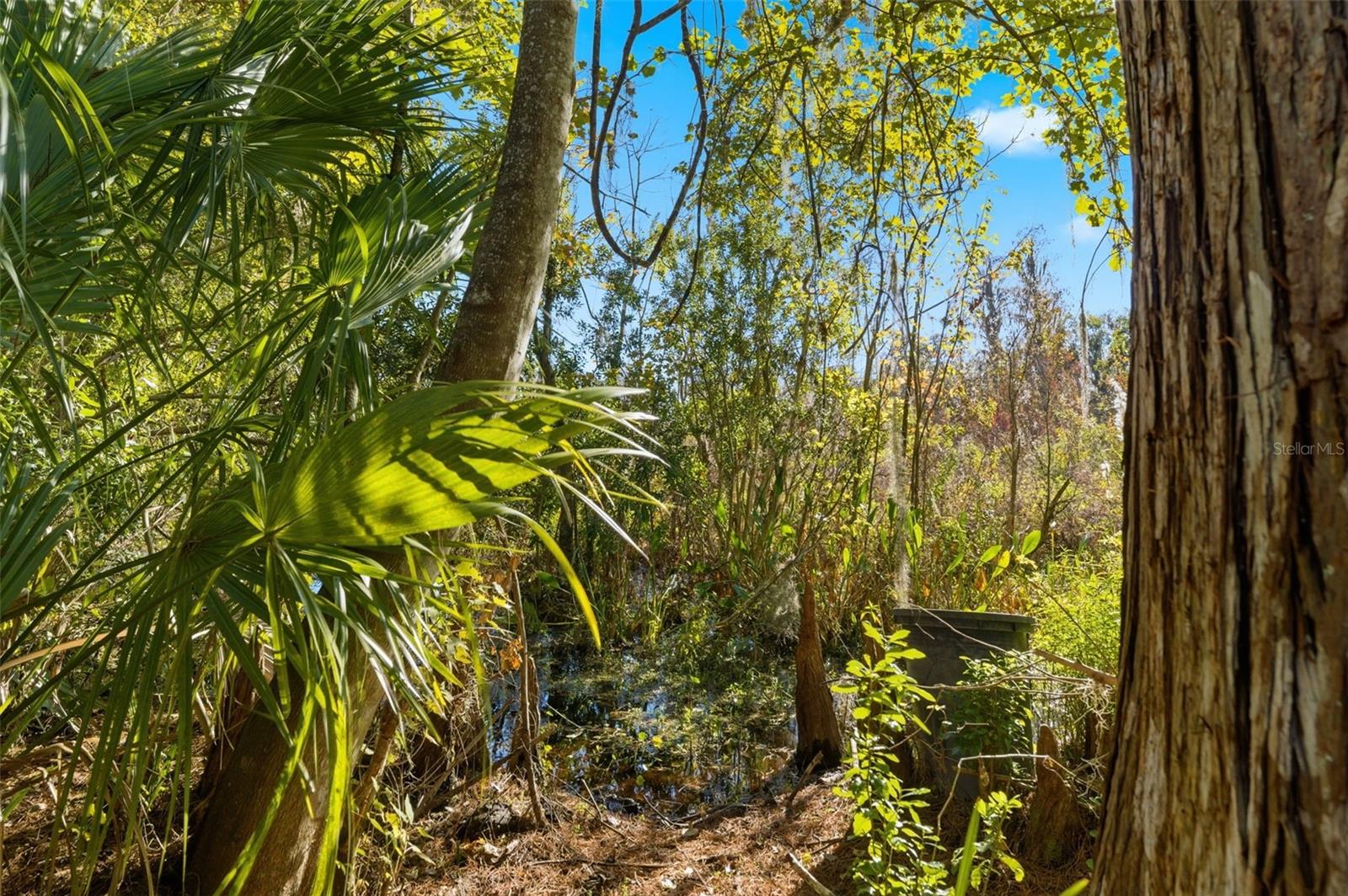 Image 9 of 22 For 0 Moon Lake Circle