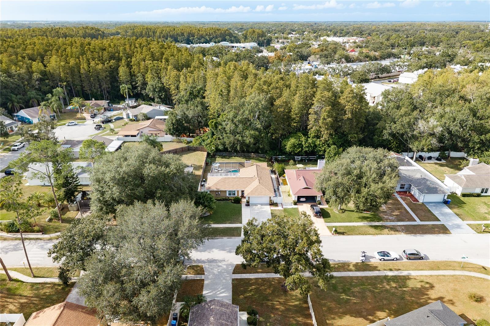 Image 50 of 55 For 12406 Forest Lane Drive