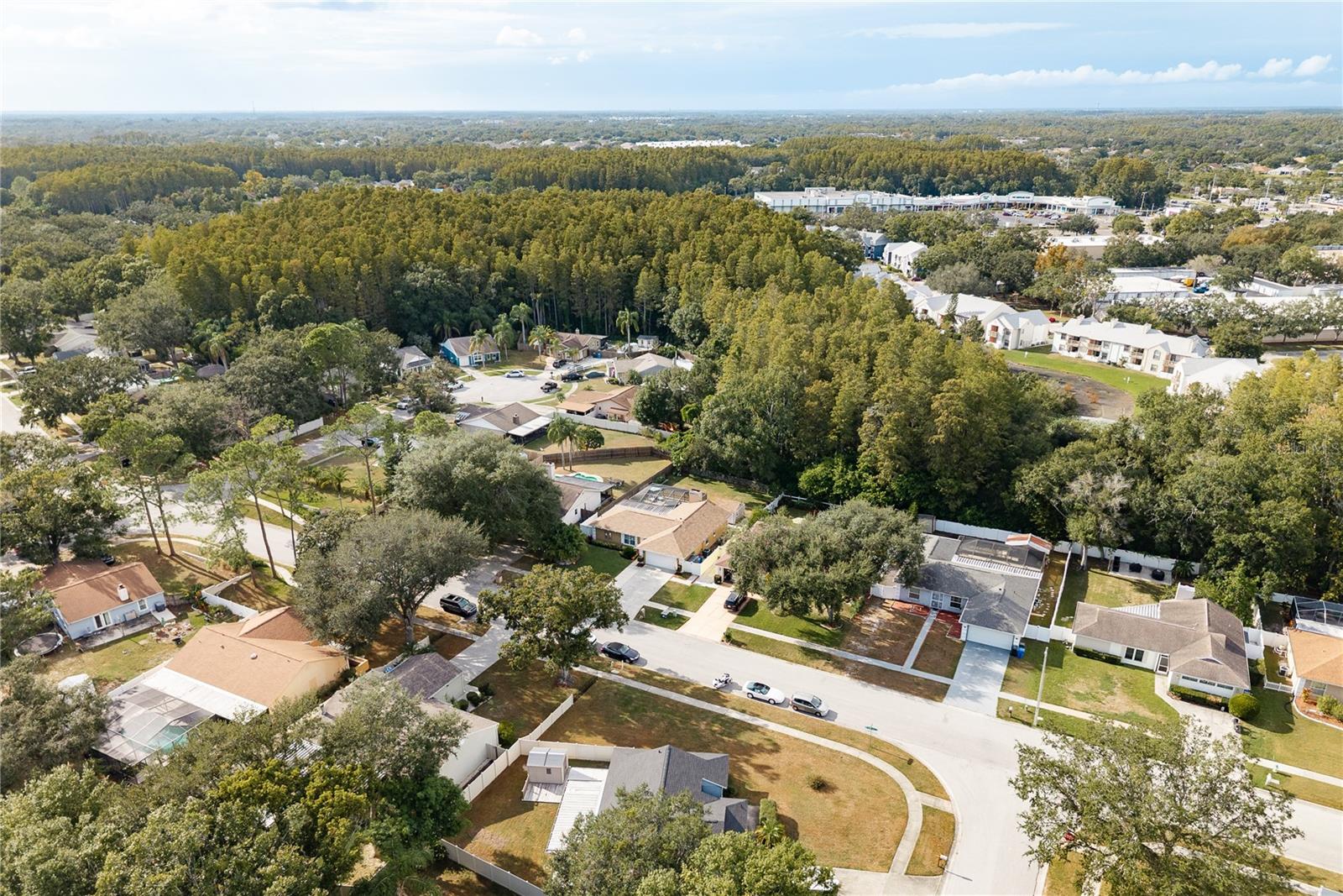 Image 51 of 55 For 12406 Forest Lane Drive