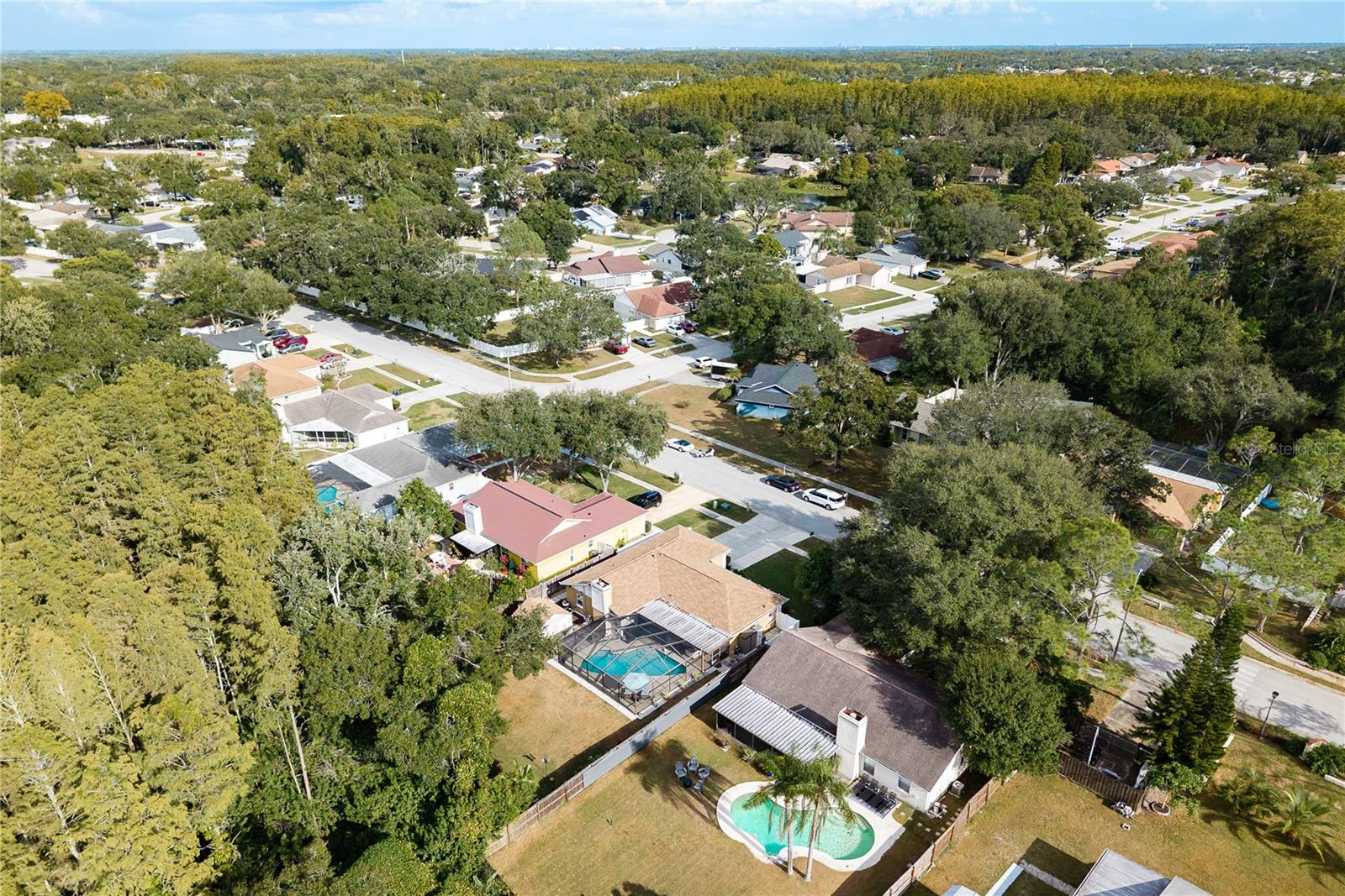 Image 53 of 55 For 12406 Forest Lane Drive