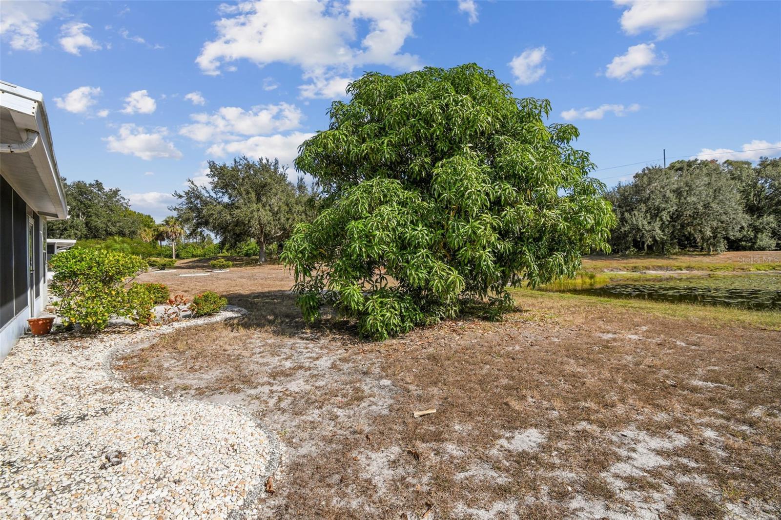 Image 32 of 39 For 2305 Del Webb Blvd