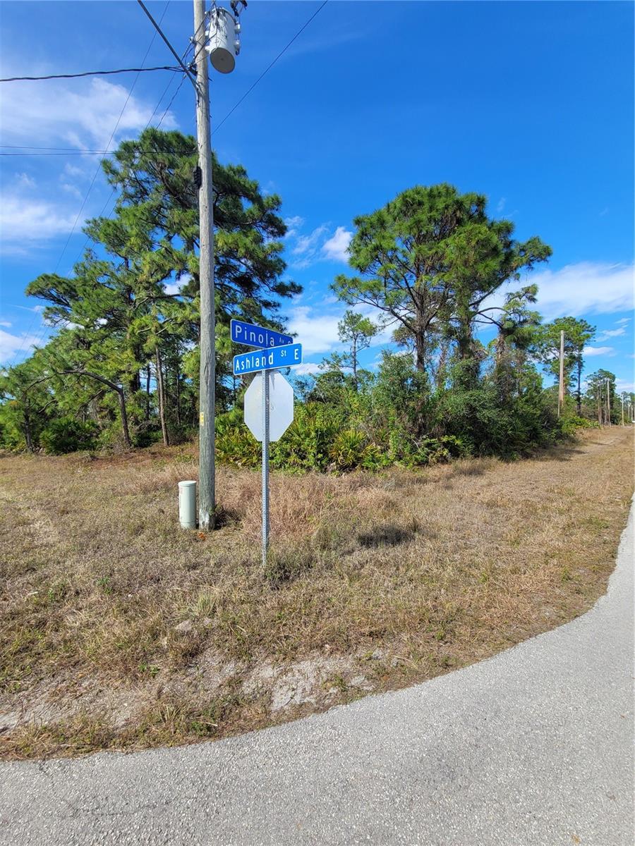 Image 3 of 12 For 236 Pinola Avenue S