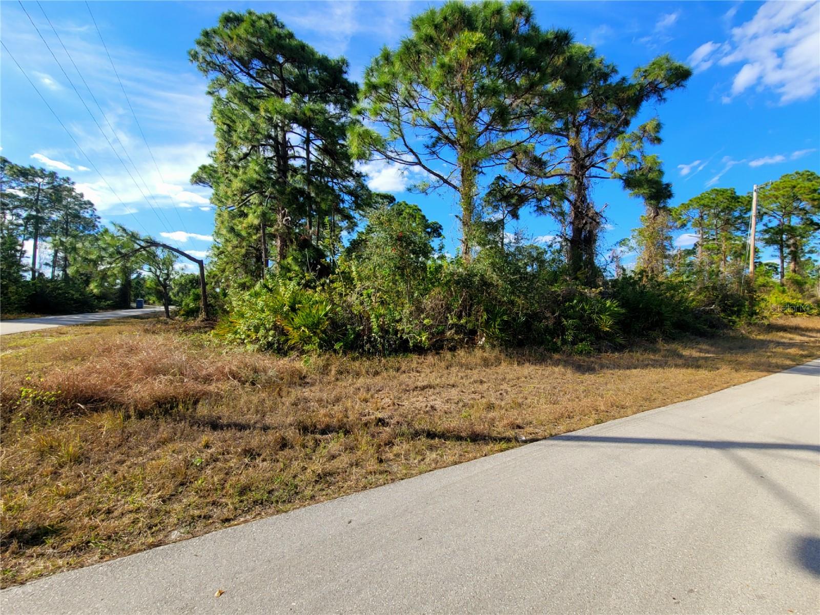 Image 6 of 12 For 236 Pinola Avenue S