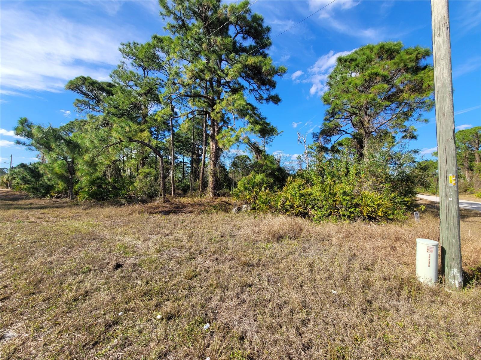 Image 7 of 12 For 236 Pinola Avenue S