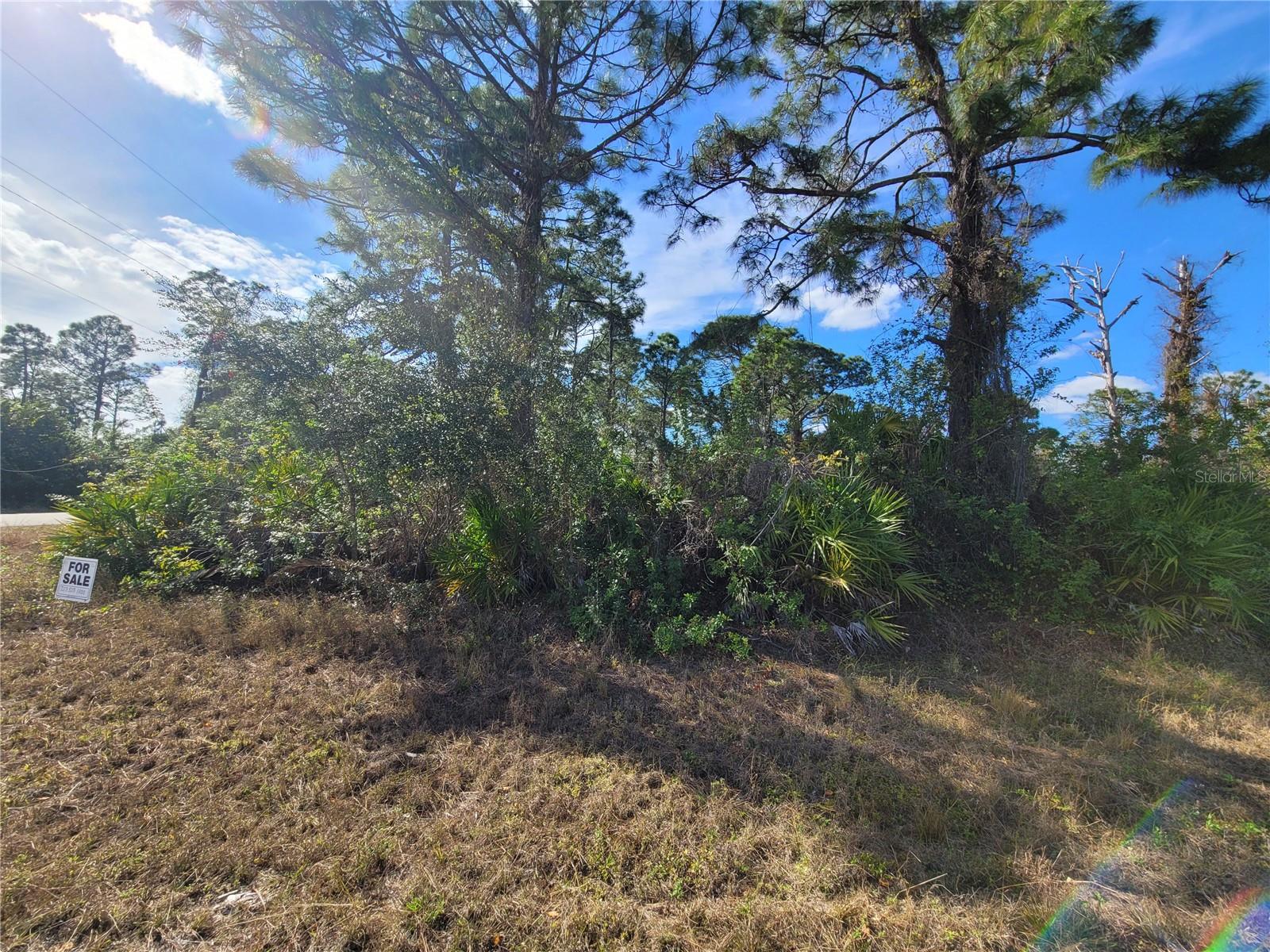 Image 8 of 12 For 236 Pinola Avenue S