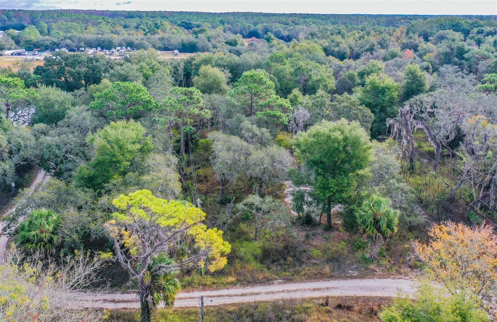 Image 7 of 18 For 10209 Sybil Lane