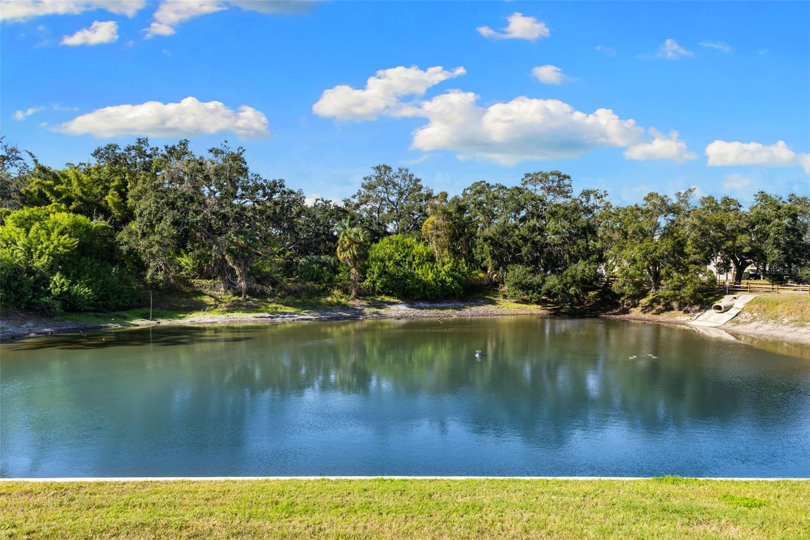 Image 25 of 31 For 948 Virginia Street 101