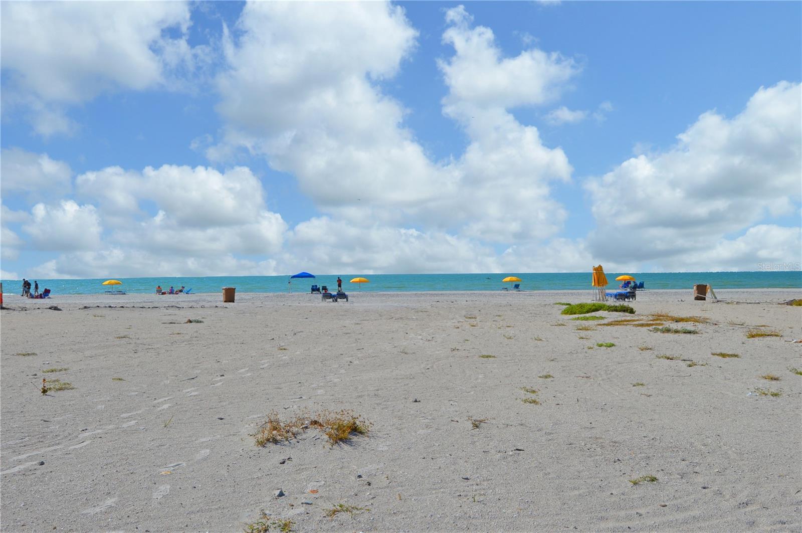 Image 55 of 55 For 156 146th Avenue E A