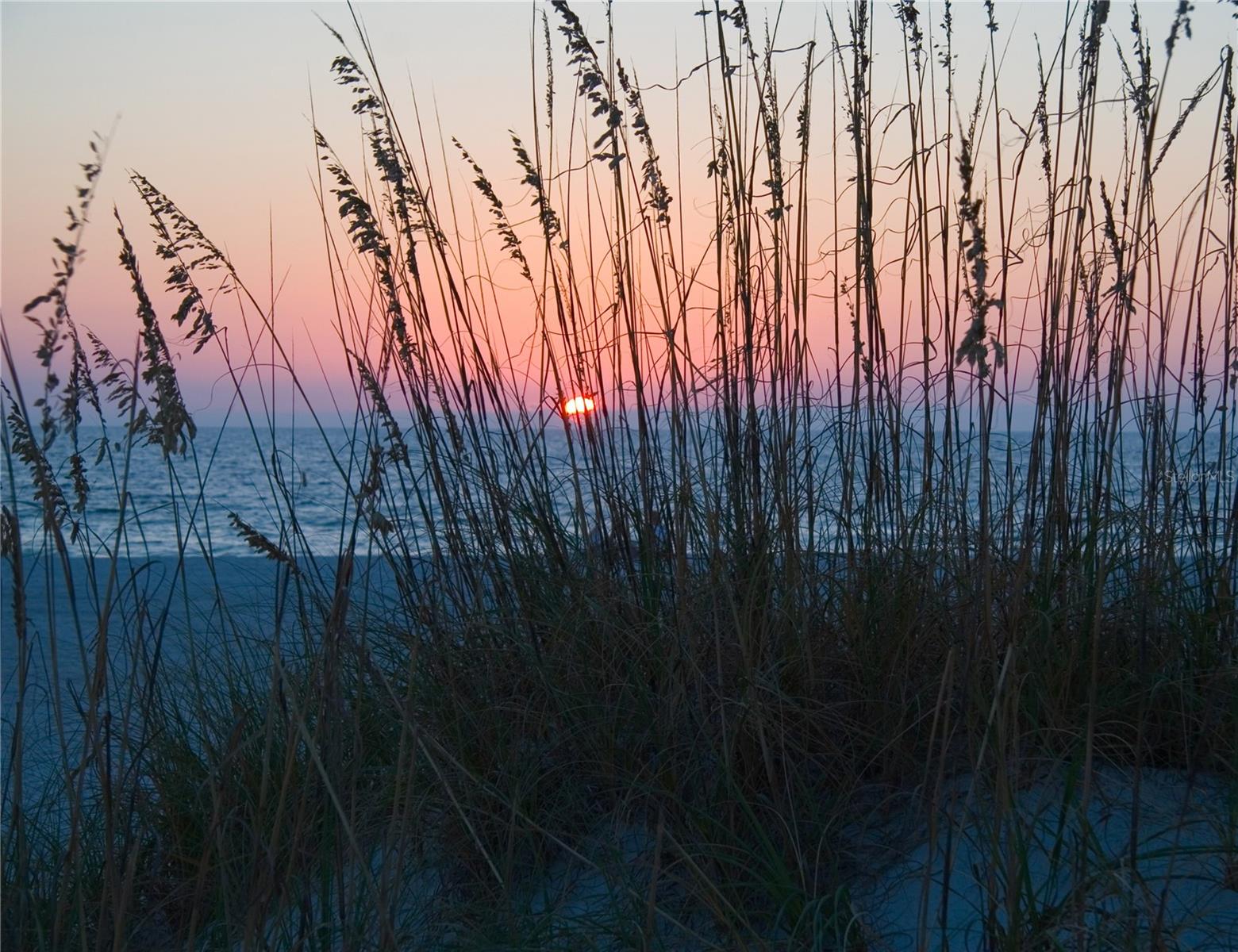 Image 49 of 50 For 8198 Terrace Garden Drive N 407