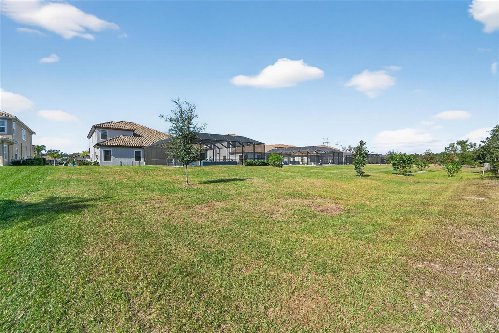 Listing photo id 79 for 10579 Meadowrun Drive