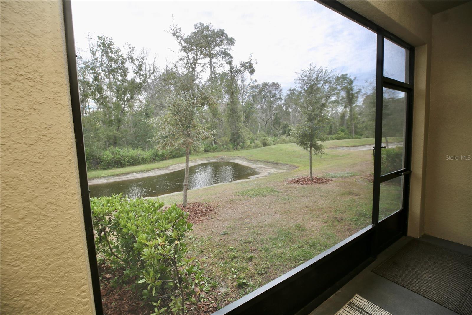 Image 19 of 69 For 17620 Nectar Flume Drive