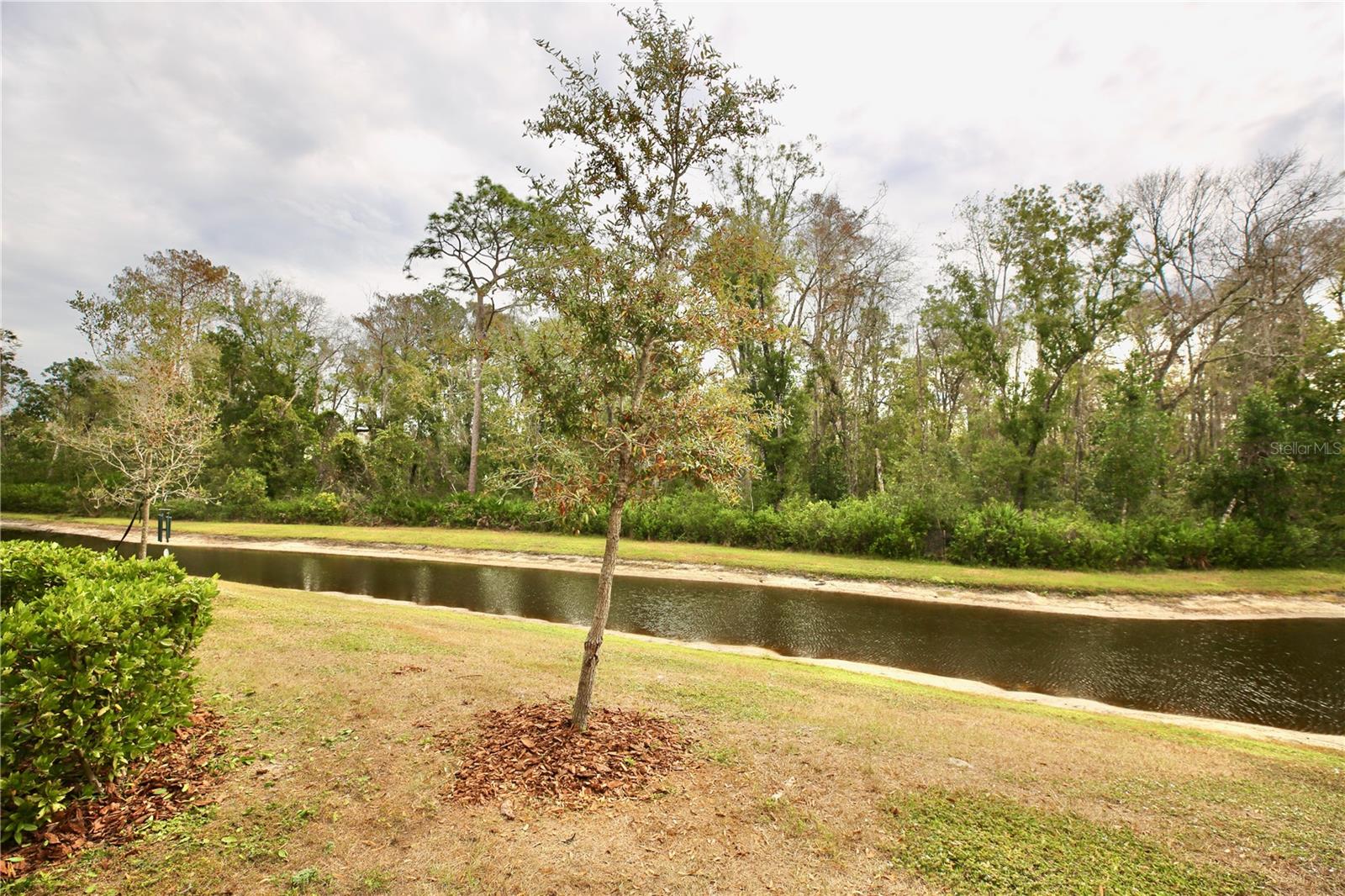 Image 37 of 69 For 17620 Nectar Flume Drive