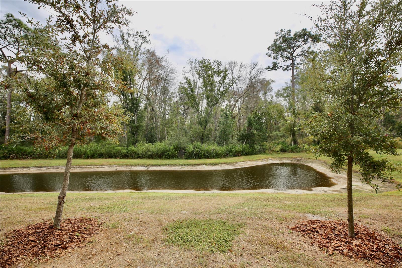 Image 38 of 69 For 17620 Nectar Flume Drive