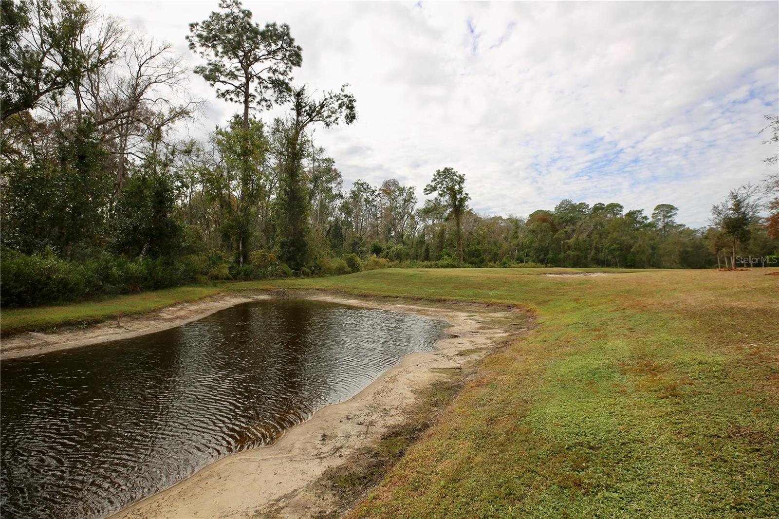 Image 41 of 69 For 17620 Nectar Flume Drive
