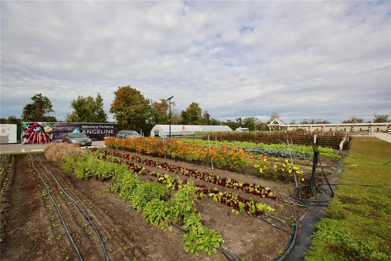 Image 52 of 69 For 17620 Nectar Flume Drive