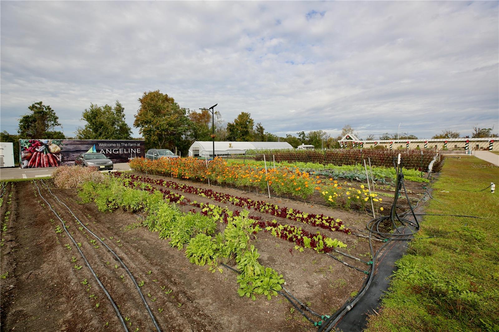 Image 53 of 69 For 17620 Nectar Flume Drive