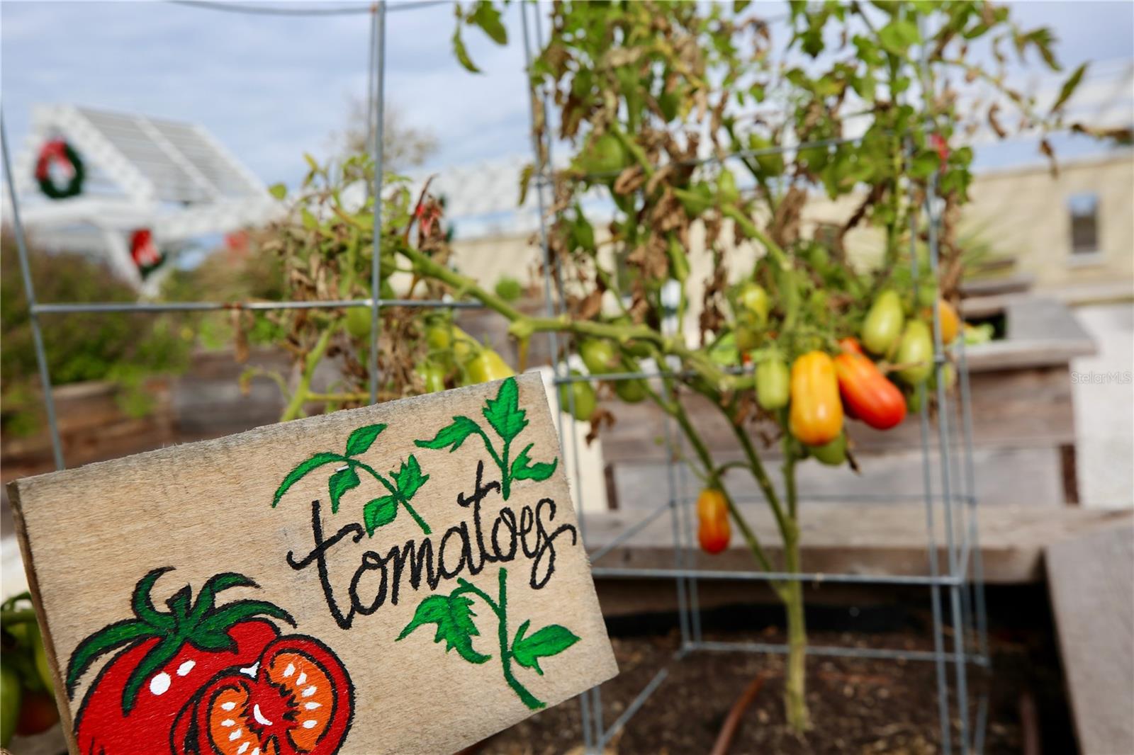 Image 57 of 69 For 17620 Nectar Flume Drive