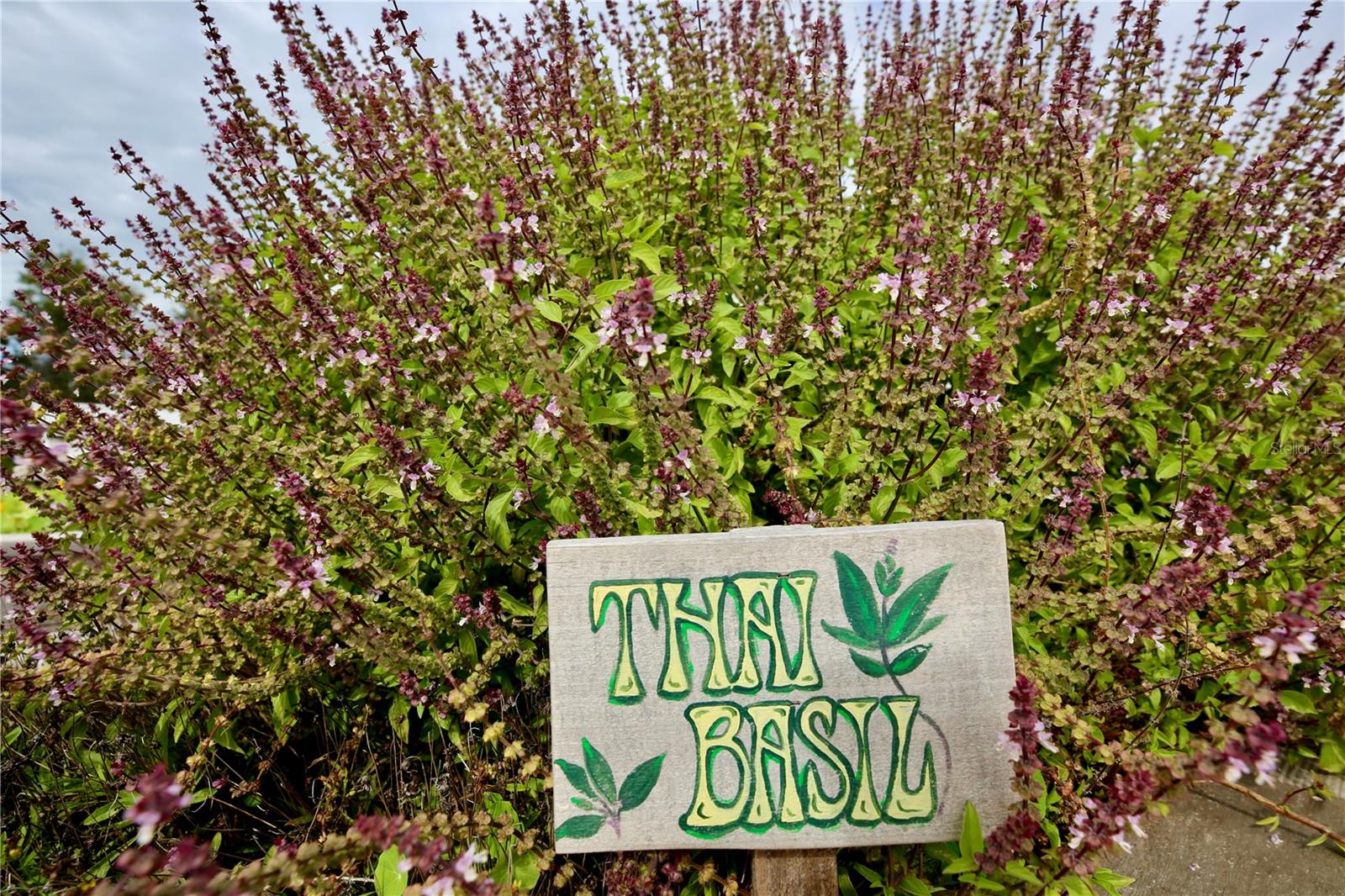 Image 58 of 69 For 17620 Nectar Flume Drive