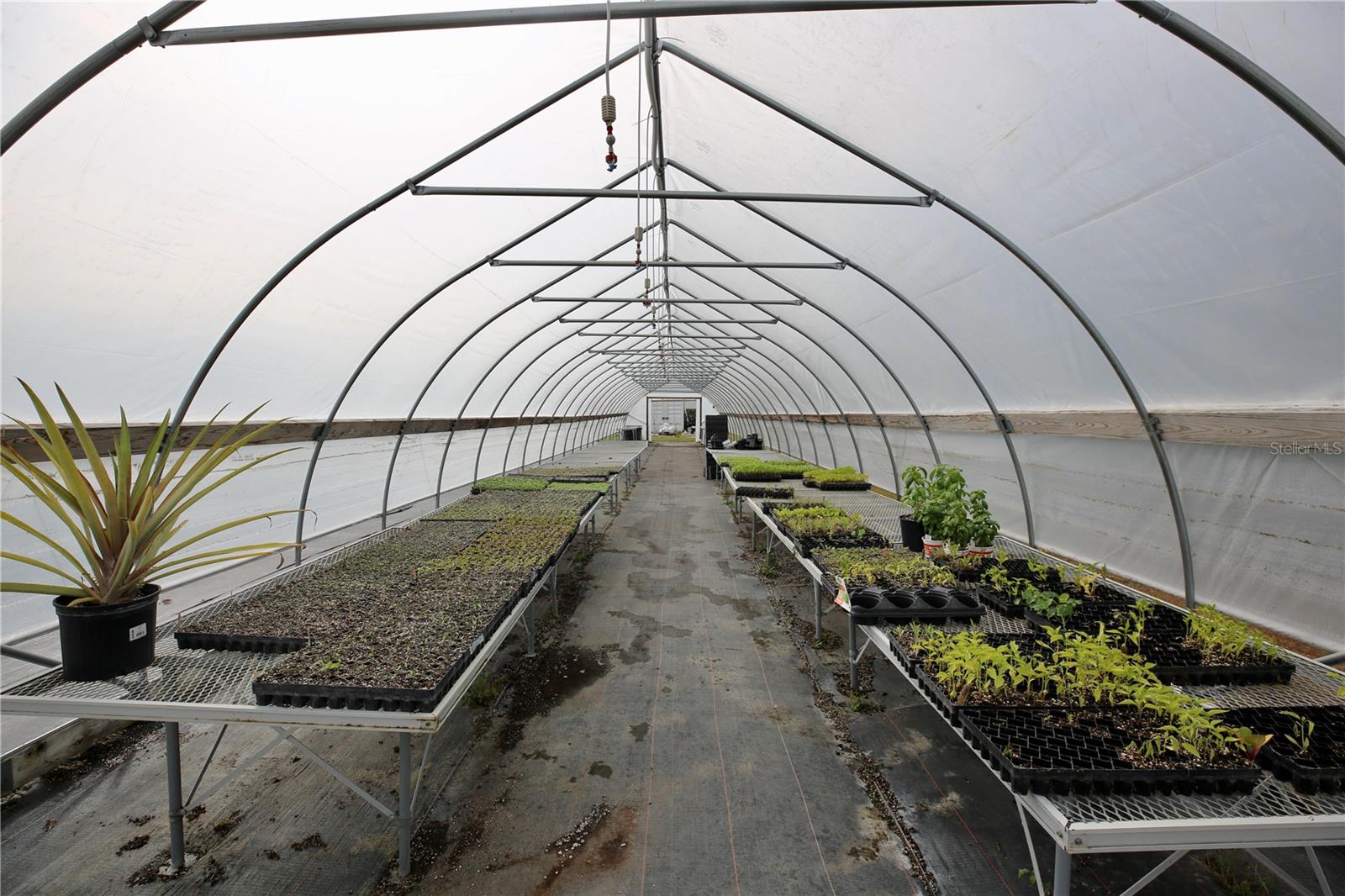 Image 60 of 69 For 17620 Nectar Flume Drive