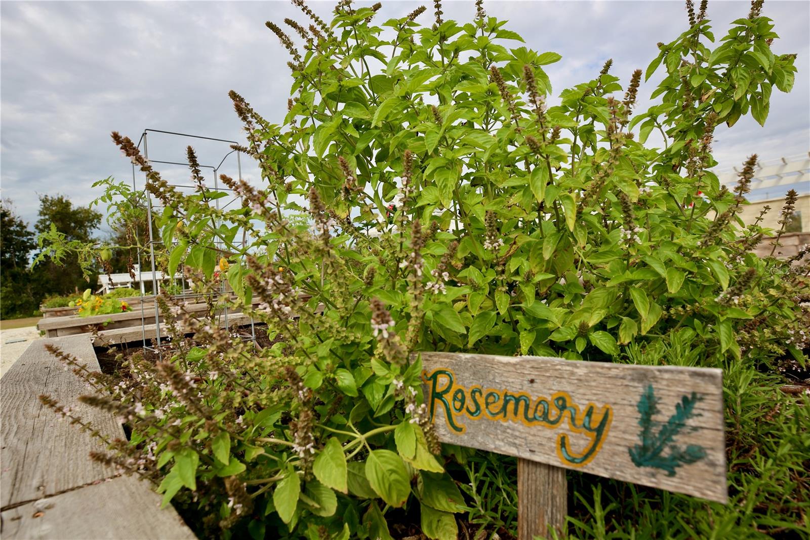 Image 61 of 69 For 17620 Nectar Flume Drive