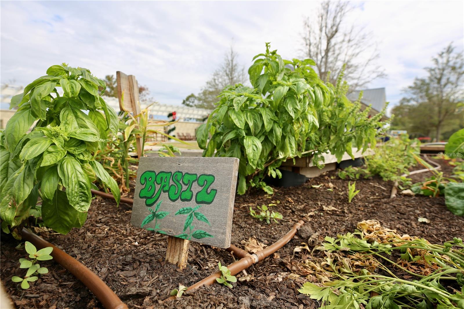 Image 62 of 69 For 17620 Nectar Flume Drive