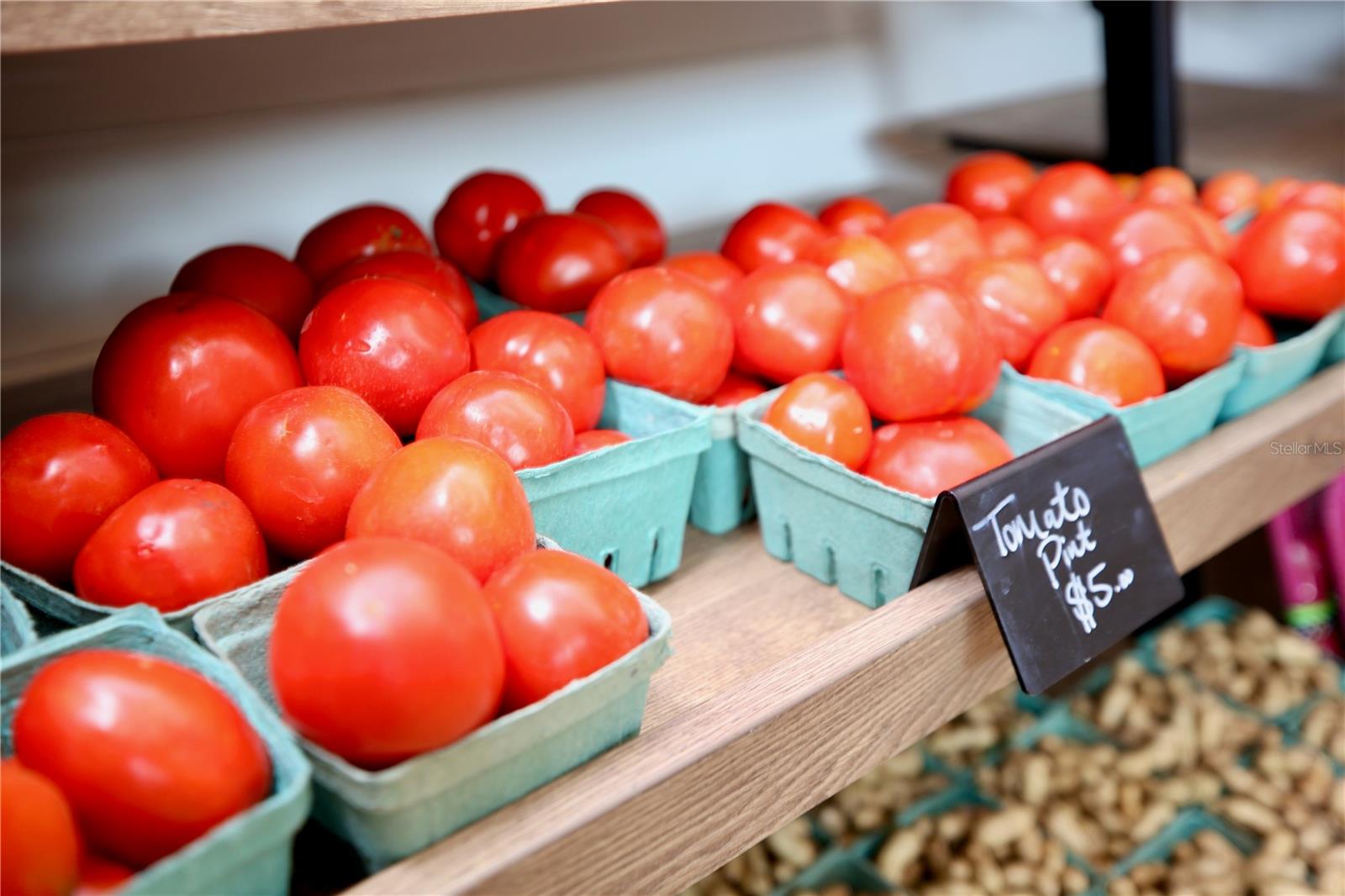 Image 68 of 69 For 17620 Nectar Flume Drive
