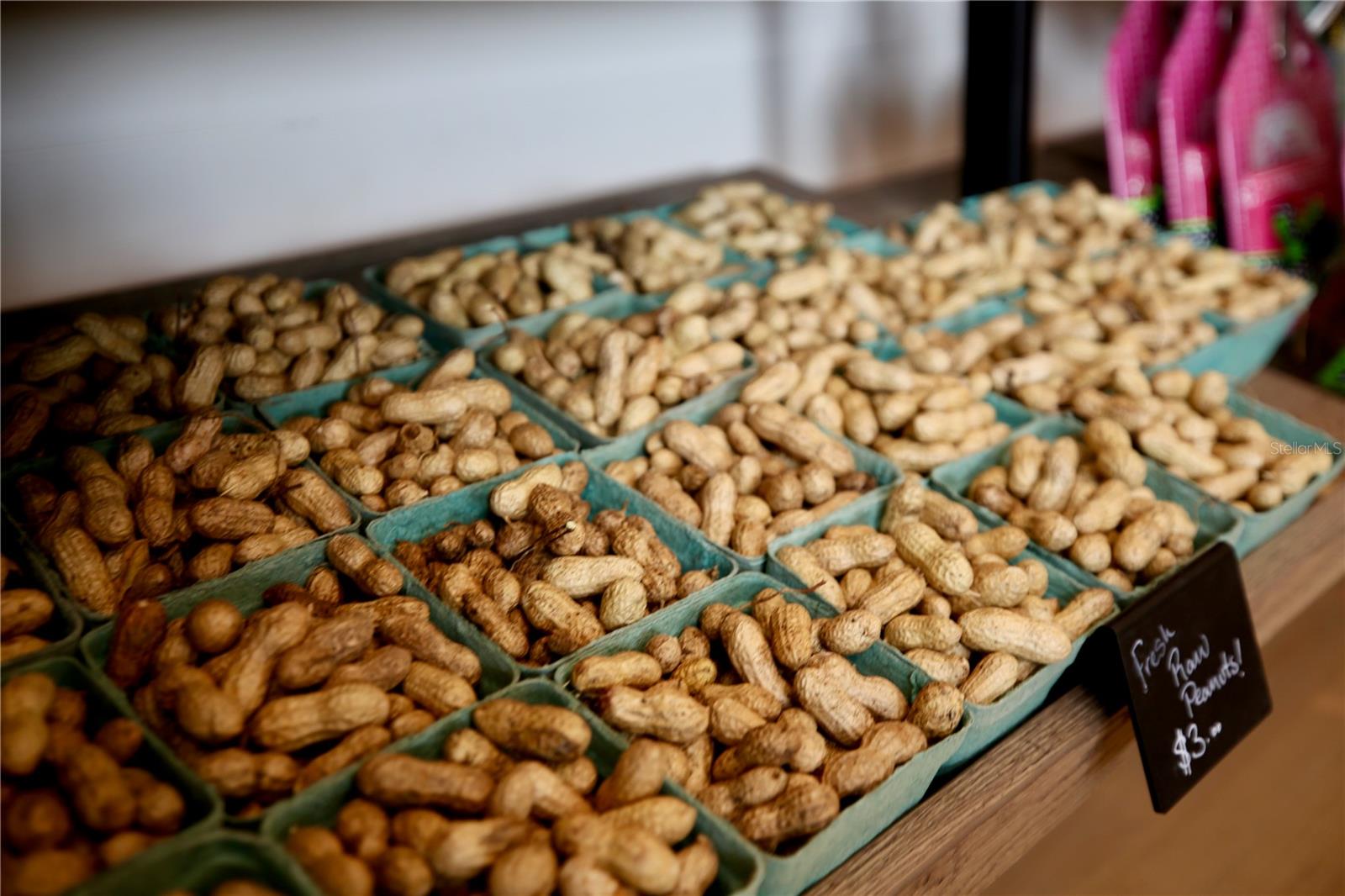 Image 69 of 69 For 17620 Nectar Flume Drive