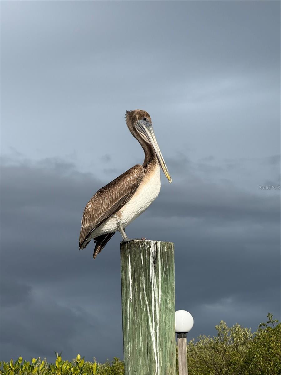 Image 81 of 99 For 5925 Shore Boulevard S 505